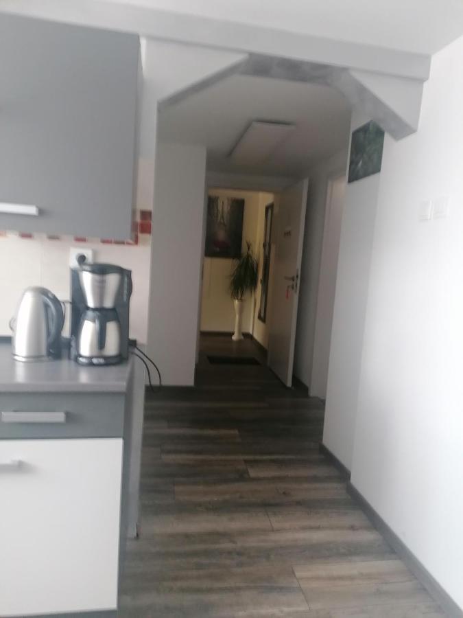 Ferienwohnung Andreea Саарлуис Экстерьер фото